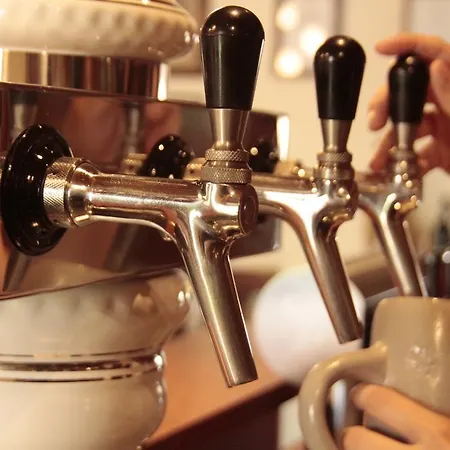 Fetzers Ingelheim am Rhein