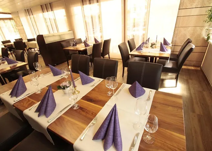 Fetzers Hotel Ingelheim am Rhein