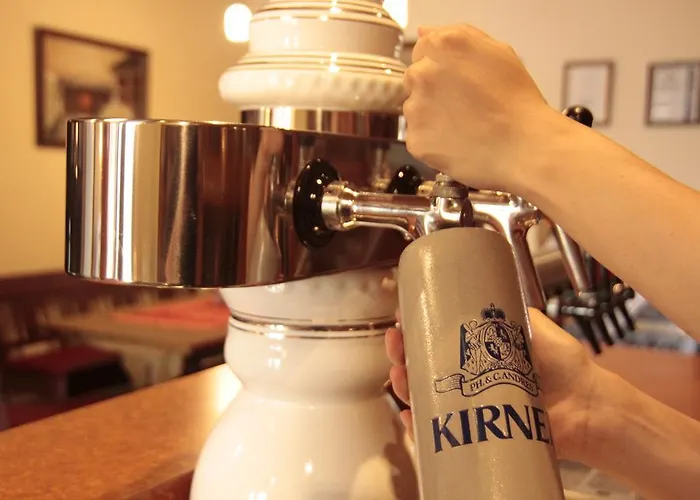 Fetzers 인겔하임암라인