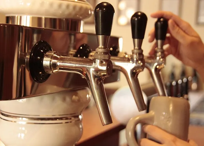 Fetzers 인겔하임암라인