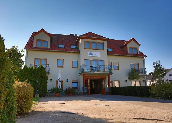 Fetzers 인겔하임암라인