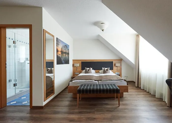 Fetzers 인겔하임암라인