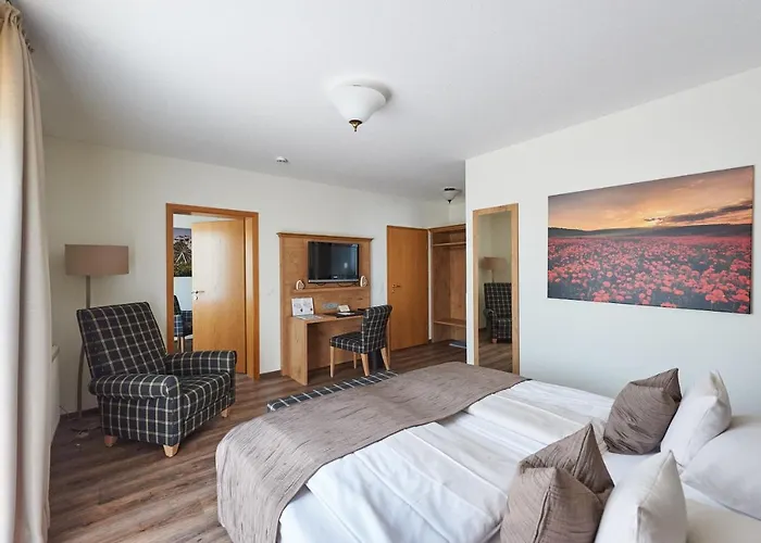 Fetzers 인겔하임암라인