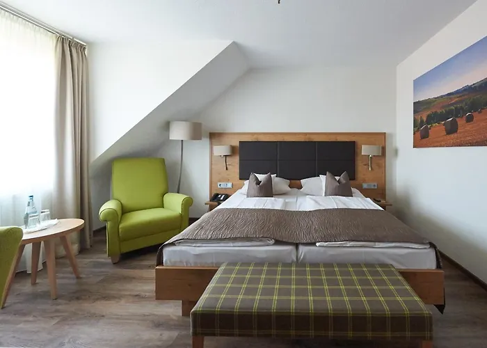 호텔 Fetzers 인겔하임암라인