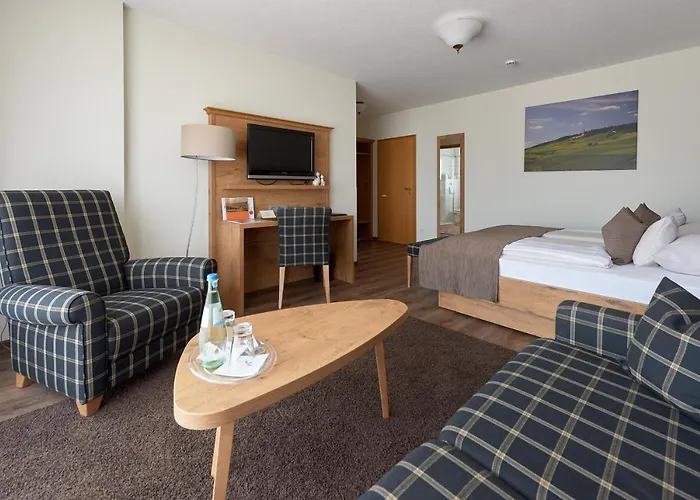 Fetzers 인겔하임암라인