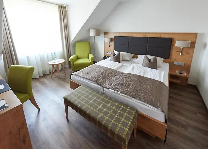 호텔 Fetzers 인겔하임암라인