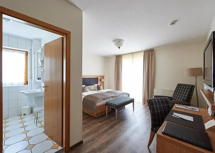 Hotel Fetzers Ingelheim am Rhein