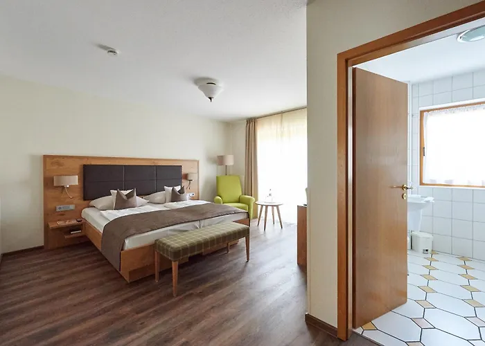 Fetzers 4* 인겔하임암라인